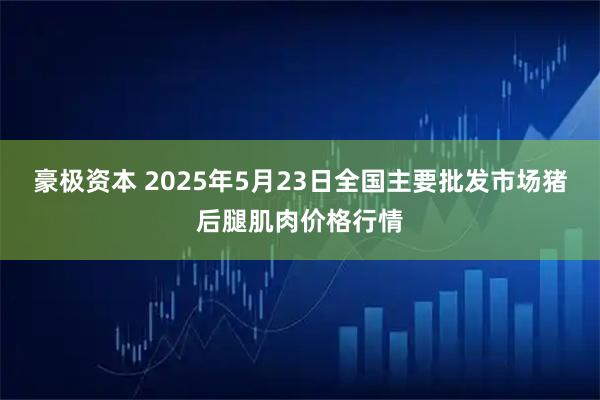 豪极资本 2025年5月23日全国主要批发市场猪后腿肌肉价格行情