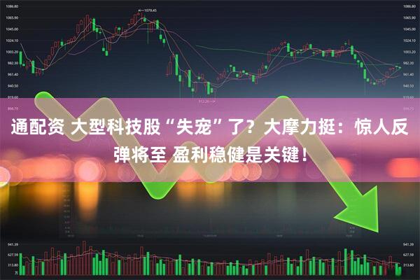 通配资 大型科技股“失宠”了？大摩力挺：惊人反弹将至 盈利稳健是关键！