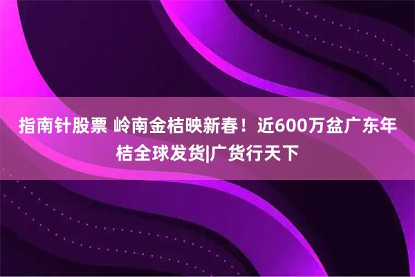 指南针股票 岭南金桔映新春！近600万盆广东年桔全球发货|广货行天下
