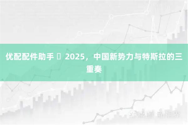 优配配件助手 ​2025，中国新势力与特斯拉的三重奏
