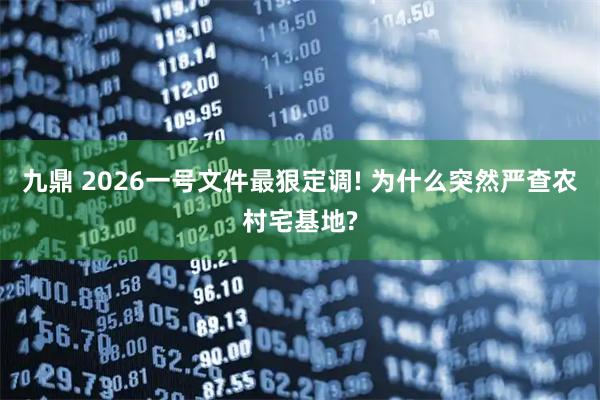 九鼎 2026一号文件最狠定调! 为什么突然严查农村宅基地?